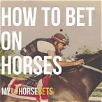 how to bet horses successfully